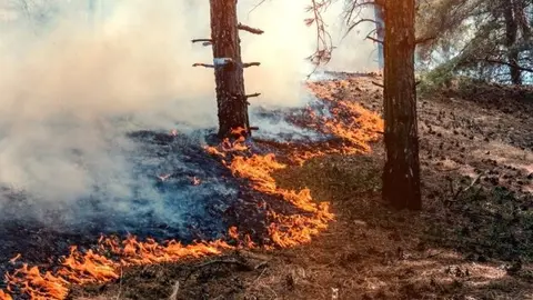 Incendio