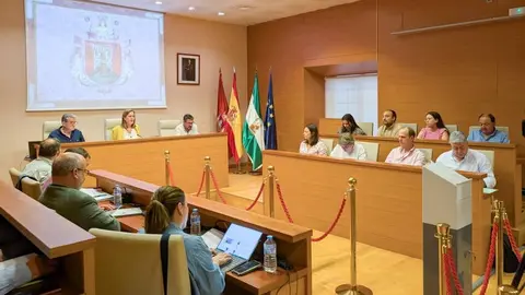 Pleno Osuna