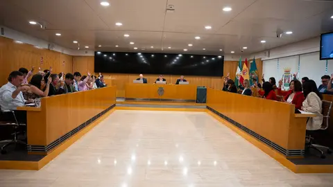 Pleno Diputaci&oacute;n