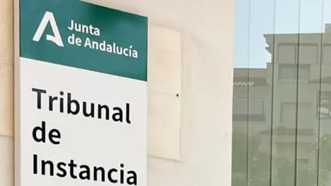 Tribunal Instancia