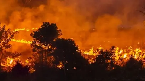 Incendio