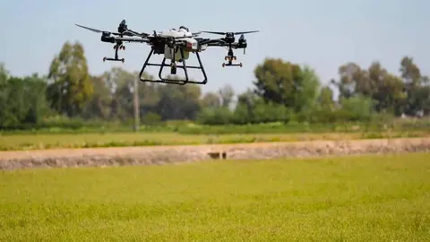 Dron
