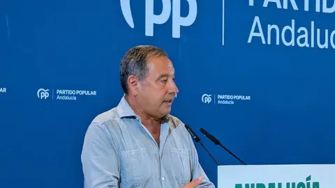 El presidente del Partido Popular de Sevilla, Ricardo S&aacute;nchez