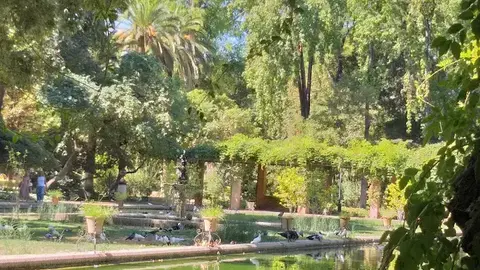 Parque Mar&iacute;a Luisa